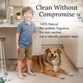 thumbnail image 2 of EarthSential Eucalyptus All Purpose Cleaner, 32 oz – Multi-Surface Plant-Based Cleaning Spray – Made with Eucalyptus Essential Oil – 5 Simple Ingredients – No Synthetic Fragrance, 2 of 6