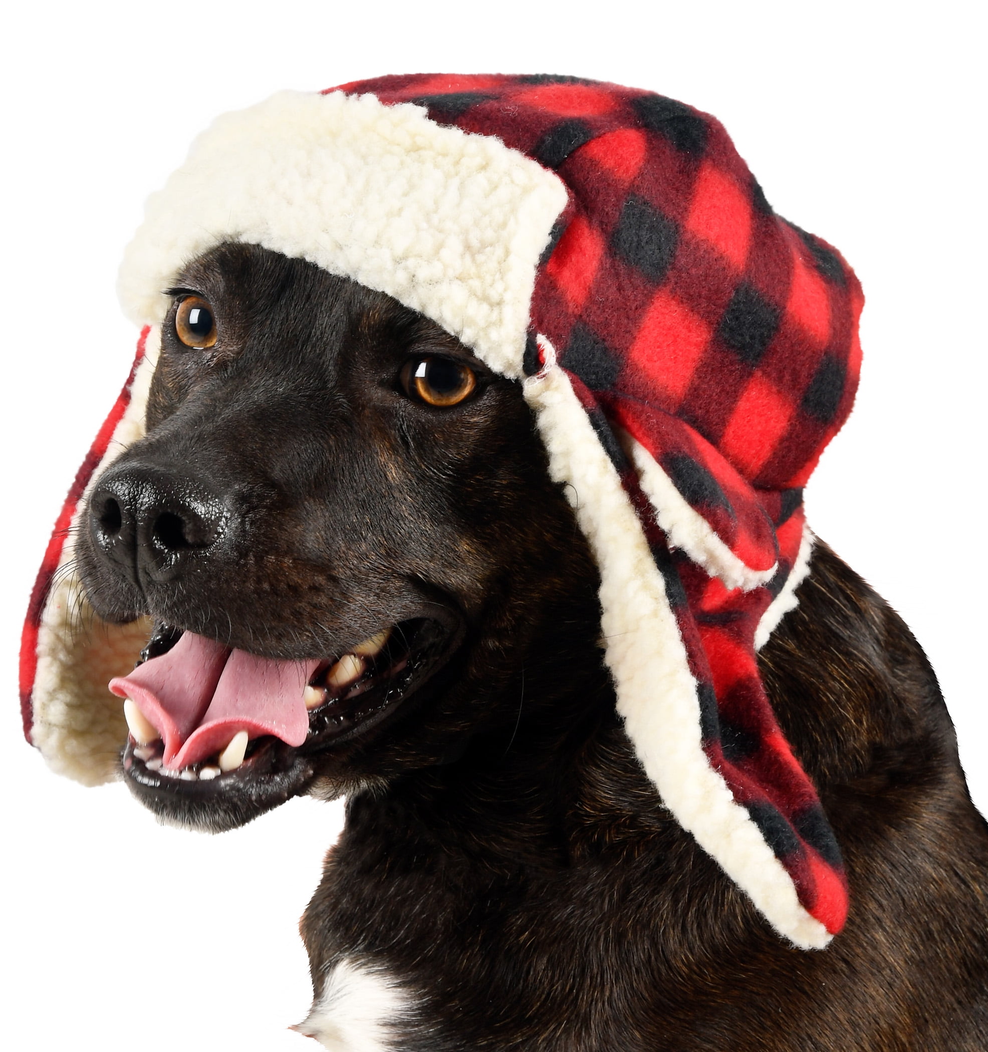 Buffalo plaid dog hat Clearance