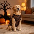 thumbnail image 5 of Halloween Dog Clothes Dog Halloween Shirts Tank Tops with Claw Spider Net Pumpkin Patterns Pet Halloween Costumes Puppy Shirt Vest for Small Medium Dogs, 5 of 7