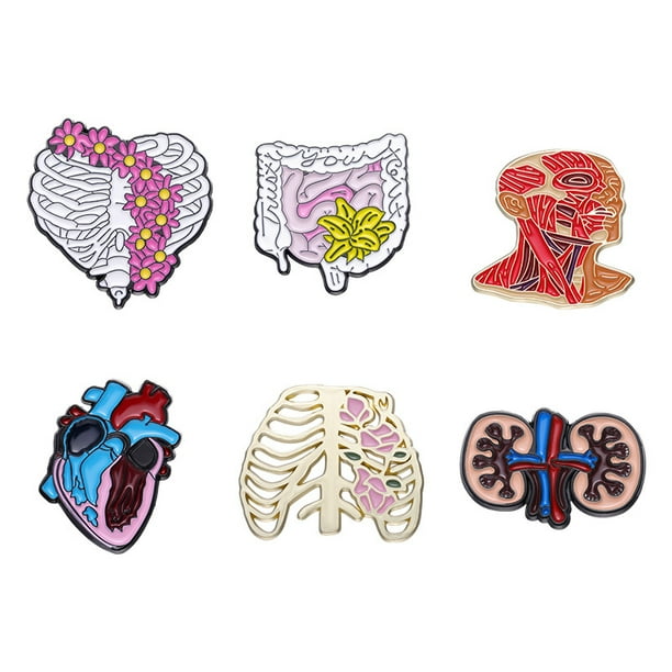 Set de broches Creative Anatomy para blusas de aleación de órganos