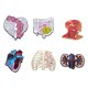 thumbnail image 1 of Set de broches Creative Anatomy para blusas de aleación de órganos, 1 of 2