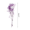 thumbnail image 2 of Dried Baby's Breath Flower 17 Inch Purple Natural Baby's Breath Branches for Wedding Party Home Decoration 2 Pcs, 2 of 6