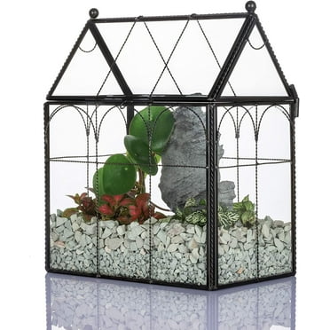 NCYP Black Glass Terrarium with Lid, Indoor Geometric Planter for Cacti, Air Plants, Succulents, Insect, Snail, House Shape Closed Box 7.5" x 4.9" x 9" (No Plant Included)