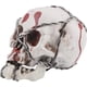 thumbnail image 1 of Modelo de Calavera Decoración de Esqueleto de Brujería Hueso de Resina Halloween, 1 of 5