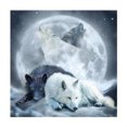 thumbnail image 1 of 30x40 cm 5D DIY Pintura de Diamante Completa, Pintura de Diamante de Alma de Lobo Animal, Lienzo de Diamantes de imitación de Bricolaje, Pintura de Punto de Cruz por número para decoración de Pared, A, 1 of 5