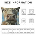 thumbnail image 5 of Brown Cow Throw Pillow Cover Head Oil Painting Animal Farm Chew Face Vivid Head Bovine Pet Hairy Pillow Case Inch Decorative Men Women Boy Girl Room Cushion Cover for Home Couch Bed, 5 of 5