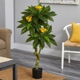 thumbnail image 2 of Nearly Natural 4' Plumeria Artificial Tree UV Resistant (Indoor/Outdoor), 2 of 3