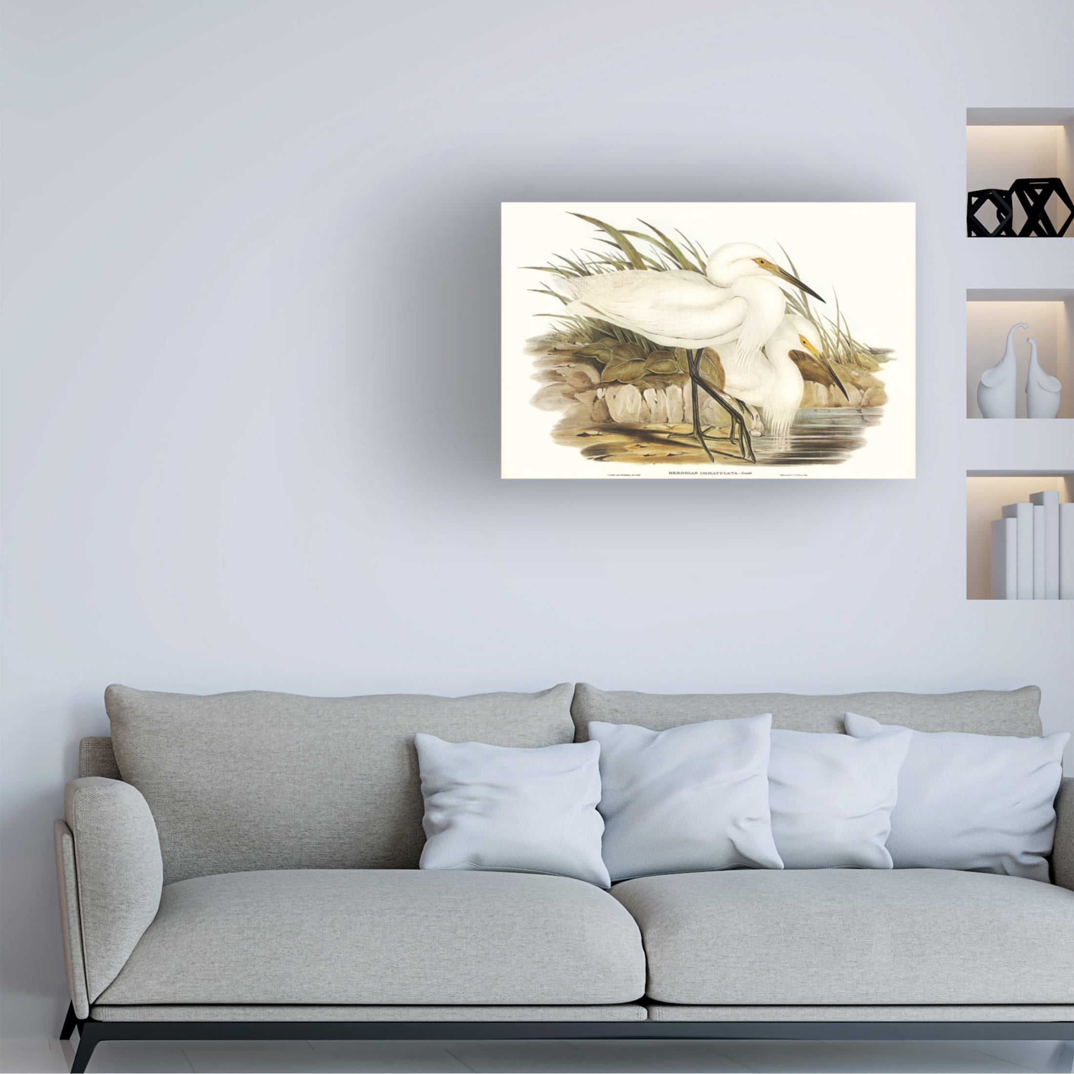 Trademark Fine Art Elizabeth Gould Waterbird Pairing I Canvas Wall Art