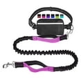 thumbnail image 1 of Dsscvnef Pet Running Traction Sports Rope Set Reflective Night Running Waist Bag for Dogs Outdoor Activity, 1 of 4