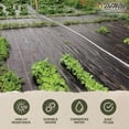 thumbnail image 2 of DeWitt Sunbelt Weed Barrier Fabric 3.2 oz, Heavy-Duty Ground Cover, 4 x 300 Feet, 2 of 8