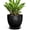 Black, variant on Wliror 6 Inch Mint Green Ceramic Plant Pot with Drainage – Cool Pastel Planter for Indoor Plants, Succulents, Herbs