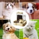 thumbnail image 5 of Dog Food Dispenser Automatic Anti-Tip Cat Food Dispenser Water Bowl, 5 of 5