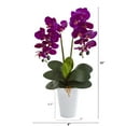 thumbnail image 2 of Nearly Natural 23in. Double Phalaenopsis Orchid Artificial Arrangement in Vase, Purple, 2 of 2
