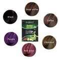Red Hair Dye, 10 Mins Herbal Hair Darkening Shampoo Hotsale Control