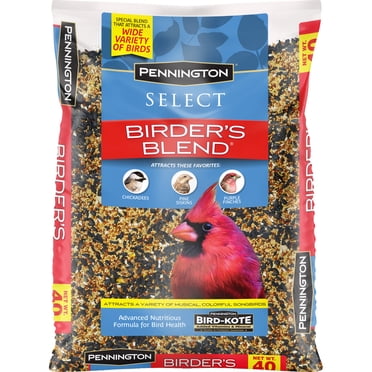 Pennington Select Black Oil Sunflower Seed – 40 Lb Bag, Wild Bird Feed