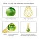 thumbnail image 5 of Bolsa de hilo para verduras y pollo, soporte para frutas y aves de corral, comedero colgante para verduras y pollos para mascotas, herramienta de alimentación con gancho para gallinas y pato, 5 of 5