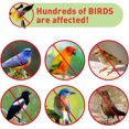 thumbnail image 5 of Cinta repelente de aves de 50 m Cinta repelente de aves de doble cara Cinta repelente de aves holográfica brillante para asustar a las aves Disuasión de aves, 5 of 5
