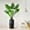 Monstera Plant, variant on PixonSign 4ft Artificial Trees Bird of Paradise with Snowflakes & Reindeers Illustration Vase Modern Indoor Silk Floor Fake Plant Christmas Decoration for Home or Office