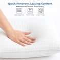 thumbnail image 6 of Lux Decor Collection Bed Pillows for Sleeping - Plush Pillows for bed - King Pillows 2-pack, 6 of 8