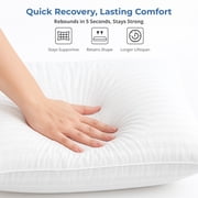 Lux Decor Collection Bed Pillows for Sleeping - Plush Pillows for bed - King Pillows 2-pack