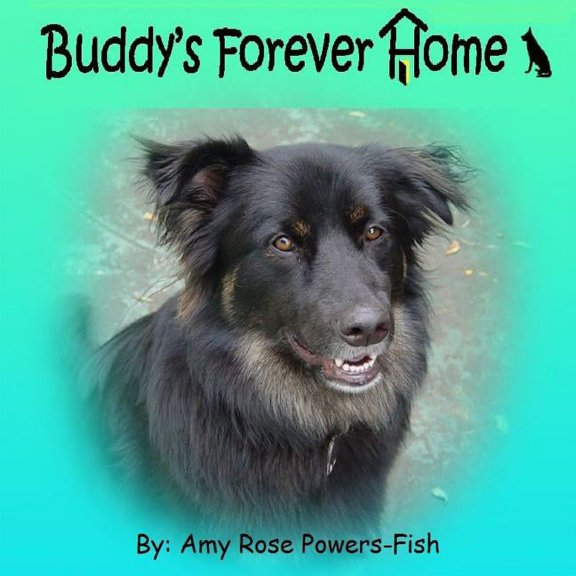 Buddy's Forever Home, (Paperback)