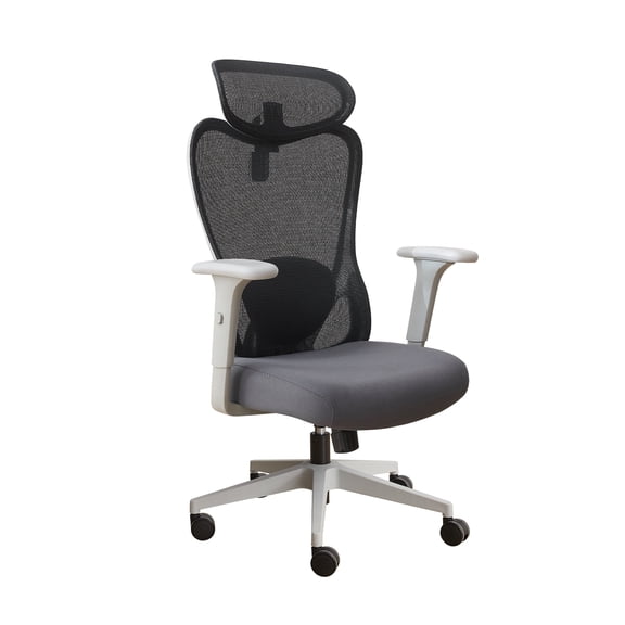 Office Chair Ergonomic Desk Chair,Breathable Mesh Desk Chair with Adjustable Height and Backrest,Gray