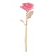 thumbnail image 2 of Rosa Bañada En Oro, Rosa De Oro De 24 Quilates Conservada Para Siempre Como Regalo Para La Colección ANGGREK Wedding Decor, 2 of 8