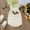 White-A, variant on Toddler Boy Easter Outfit Bunny Baby Boy Easter Romper Sleeveless Overalls Suspender Trousers Sleeveless Newborn Infant Clothes 3-6 Months