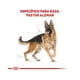 thumbnail image 2 of ROYAL CANIN GERMAN SHEPHERD ROYAL CANIN Royal Canin 13.6 KG, 2 of 3