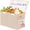 Large Beige, variant on Large Toy Storage Box with Lid & Divider, Sturdy Collapsible Organizer Chest, Kids Storage Bins for Nursery Bedroom Playroom, 25"x13"x16", Beige & White