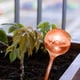 thumbnail image 3 of Likrtyny Riego Por Goteo en Forma Transparente para Plantas PVC para Interiores (rosa), 3 of 5