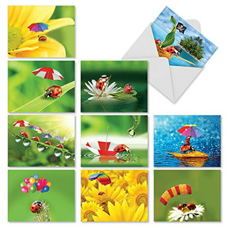 'M1546BN LADY B.' 10 Assorted All Occasions Note Cards Feature Whimsical Images of Ladybugs with Envelopes by The Best Card