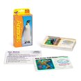thumbnail image 2 of Trend Enterprises T-23017 Cartes Flash Animaux de Poche (Lot de 3), 2 of 3