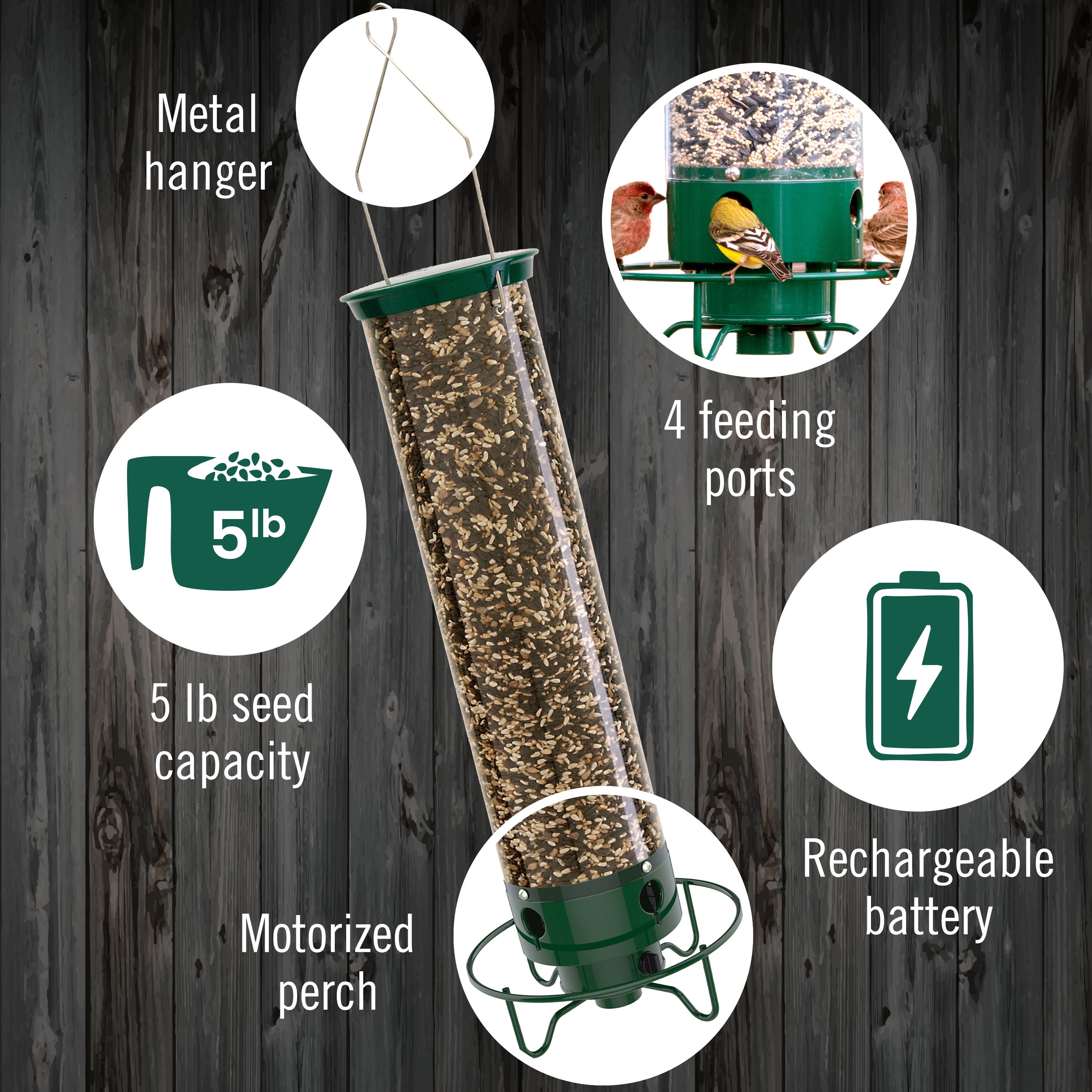 Droll Yankees Squirrel Proof Bird Feeders for Outdoors - YF-M - Flipper, Collapsible Perches, 5-Pound Seed Capacity, Green