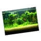 Fond d'Aquarium 3D Fond Fond Statique Papier Peint Autocollant 122x46cm – image 4 sur 8
