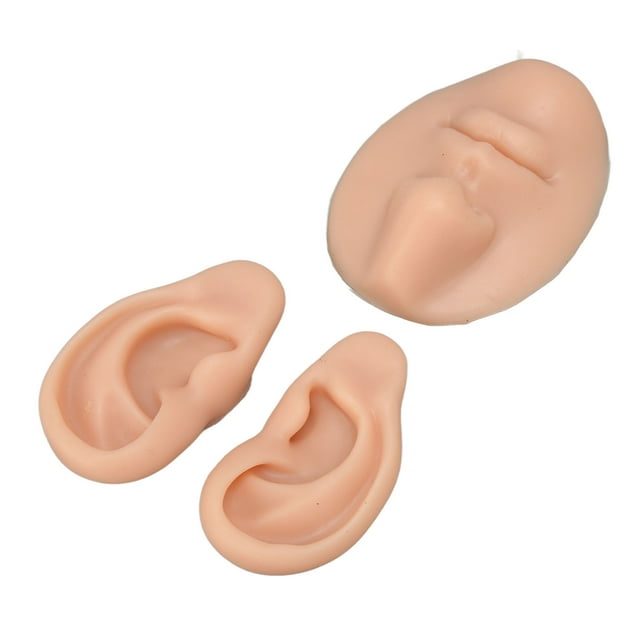 Display Nose Model,Silicone Ear Model Novice Piercing Practice Model Silicone Nose Mouth Model Built to Last