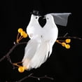 thumbnail image 1 of Pájaros de espuma artificial/set pareja DIY boda decoración artesanía foto Props 2 uds DQrwqpou Libre de BPA, 1 of 2