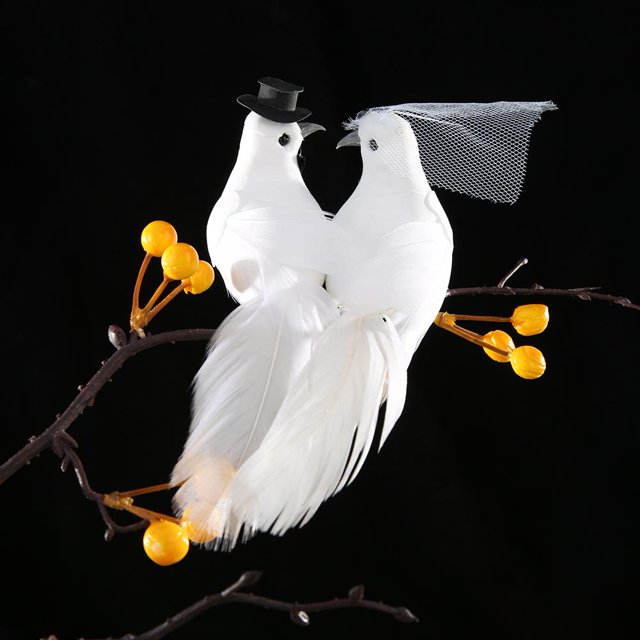 Pájaros de espuma artificial/set pareja DIY boda decoración artesanía foto Props 2 uds DQrwqpou Libre de BPA