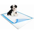 thumbnail image 1 of Bandeja de silicona para orinar para perros Skywin, 76 x 91 cm, antiderrames, 1 of 7
