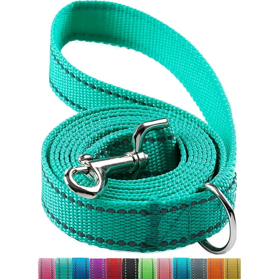 6FT Reflective Dog Leash for Large&Medium and Small Dogs, Strong and Durable Nylon Leashes for Walking and Training,6 Foot Dog Leash with D Ring for Puppy (Turquoise, 1 inch X 6FT)