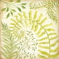 thumbnail image 2 of McRostie, Kate 12x12 Gold Ornate Wood Framed with Double Matting Museum Art Print Titled - Fern Botanical II, 2 of 4