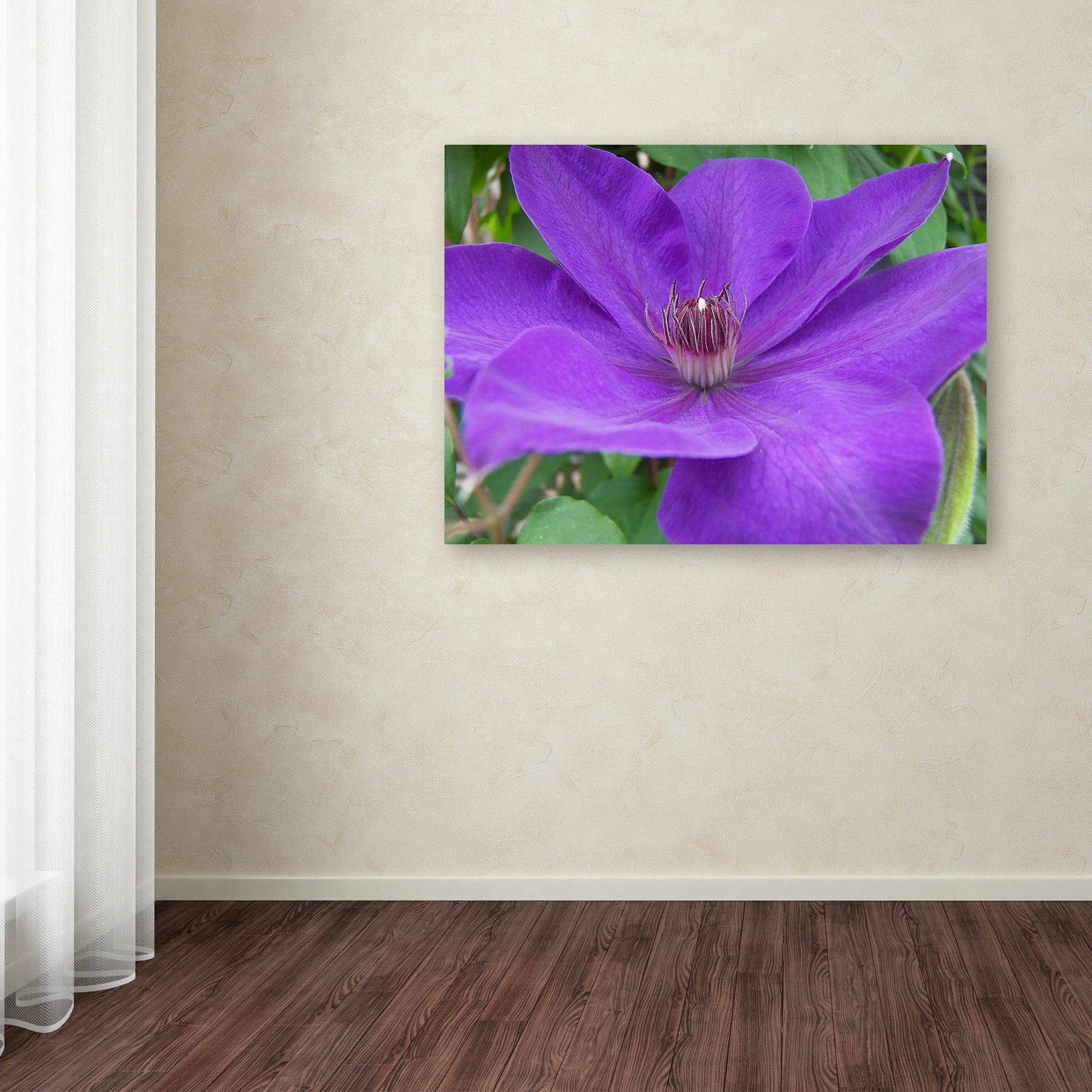 Trademark Fine Art "Purple Flower" Canvas Art by Monica Fleet