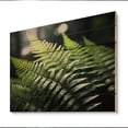 thumbnail image 2 of Designart "A Close Up Photo of Ferns I" Floral Print on Natural Pine Wood, 2 of 5