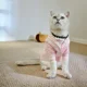 thumbnail image 4 of Suéter estilo universitario lindo para mascotas de otoño e invierno, abrigo de oso rubí nevado para gatos y perros, ropa para cachorros, ropa para perros pequeños, 4 of 5