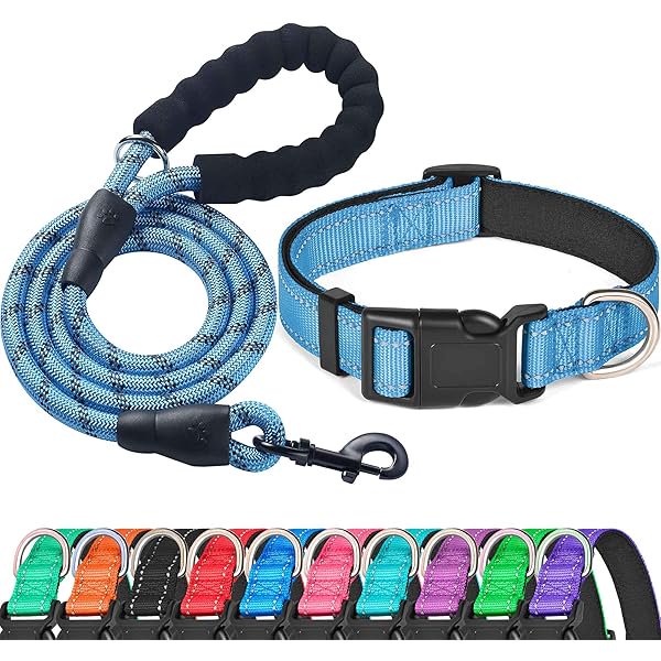 wonima02 Reflective Dog Collar Padded with Soft Neoprene Breathable Adjustable Nylon Dog Collars for Small Medium Large Dogs (Small (Pack of 1), Vivid Blue Collar+Leash)