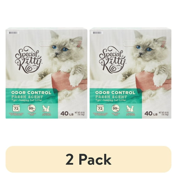 (2 pack) Special Kitty Scoopable Tight Clumping Cat Litter, Fresh Scent, 40 lb