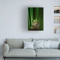 thumbnail image 2 of Ahmad Gafuri 'Green Frog' Canvas Art, 2 of 4