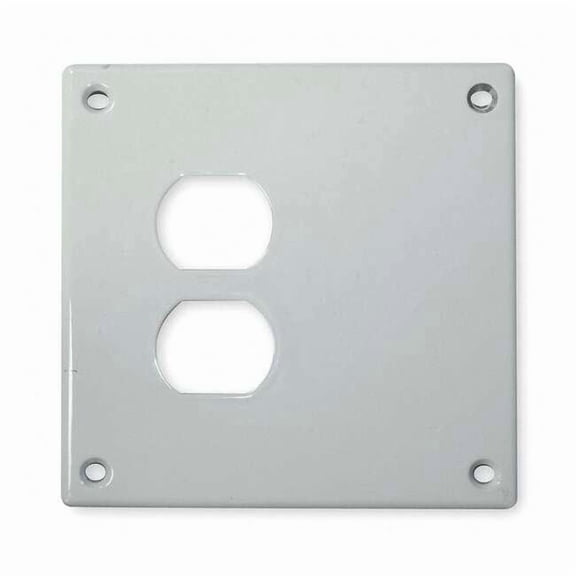 Hubbell Wiring Device-Kellems SWP813