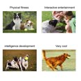 thumbnail image 3 of Pet Dog Outdoor Tennis Ball Launcher Safety Practicing Training Playing Interaction Toy, 3 of 7
