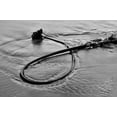 thumbnail image 2 of Lee Peterson 40x28 Gallery Wrapped Canvas Wall Art Titled - Seaweed, 2 of 4